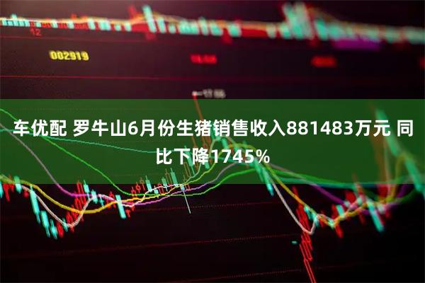 车优配 罗牛山6月份生猪销售收入881483万元 同比下降1745%
