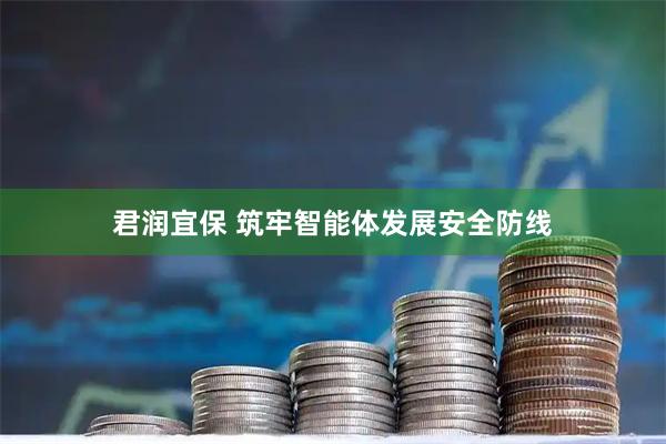 君润宜保 筑牢智能体发展安全防线