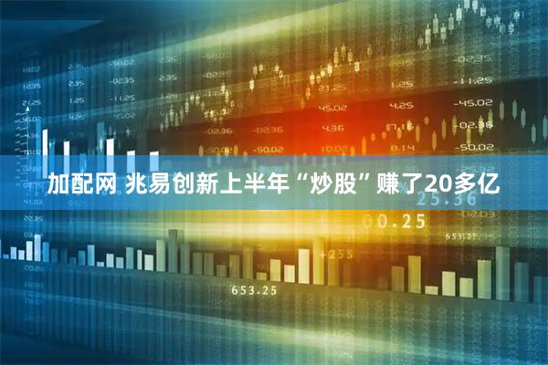 加配网 兆易创新上半年“炒股”赚了20多亿